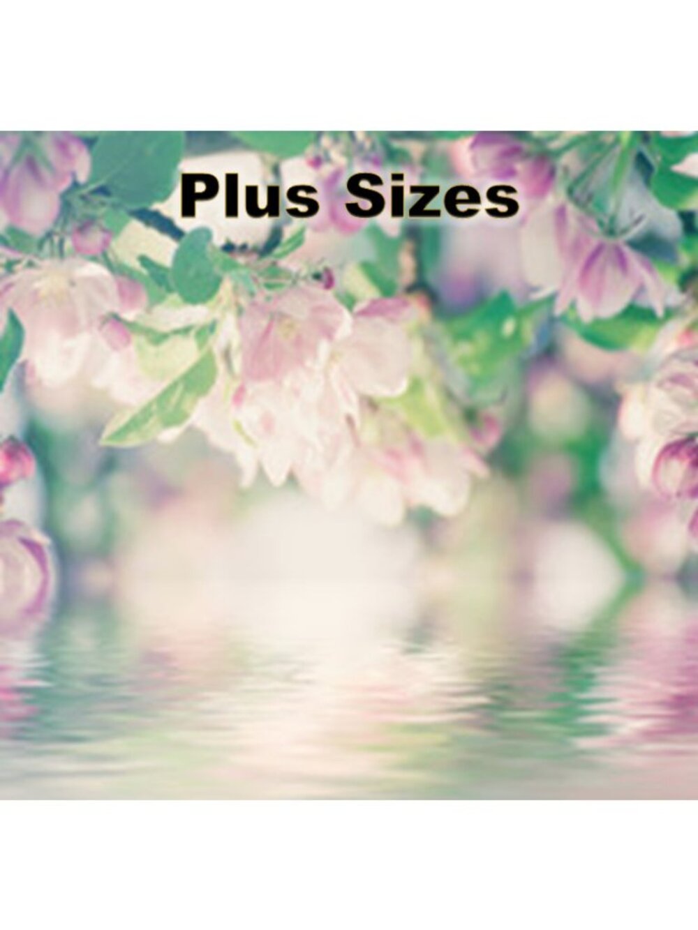 Plus Sizes - Picture 1 of 1